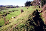 The water race is the ditch at the right of the picture. 2004.